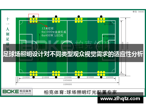 足球场照明设计对不同类型观众视觉需求的适应性分析